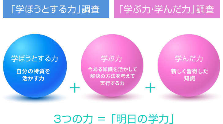 「学ぼうとする力」調査,「学ぶ力・学んだ力」調査