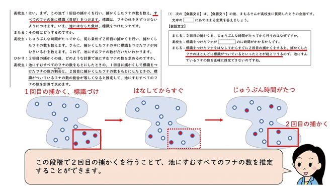 動画解説